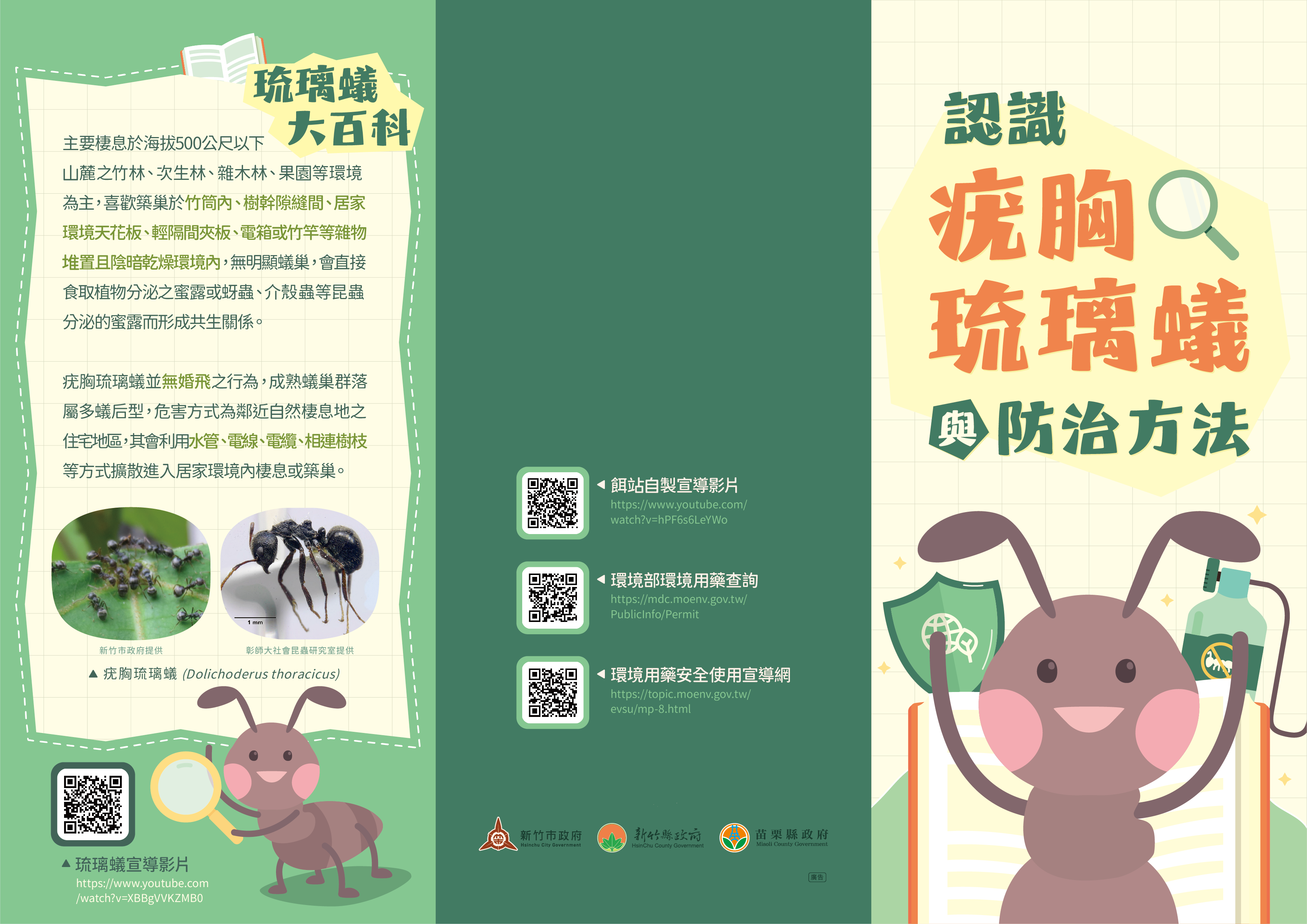 「認識疣胸琉璃蟻與防治方法」防治宣導